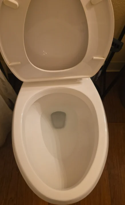 After: Toilet before and after cleaning