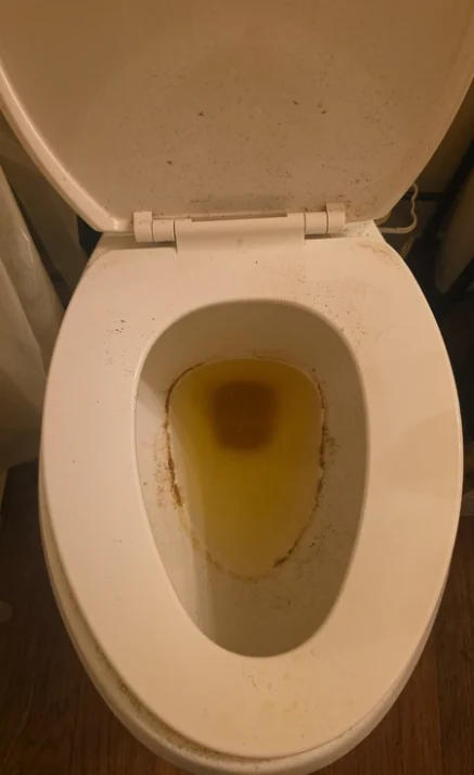 Before: Toilet before and after cleaning