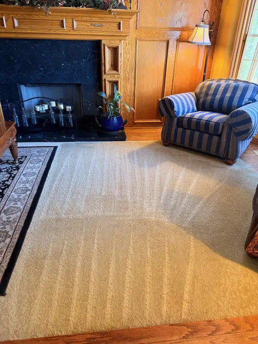 Cleaned carpet in front of a fireplace