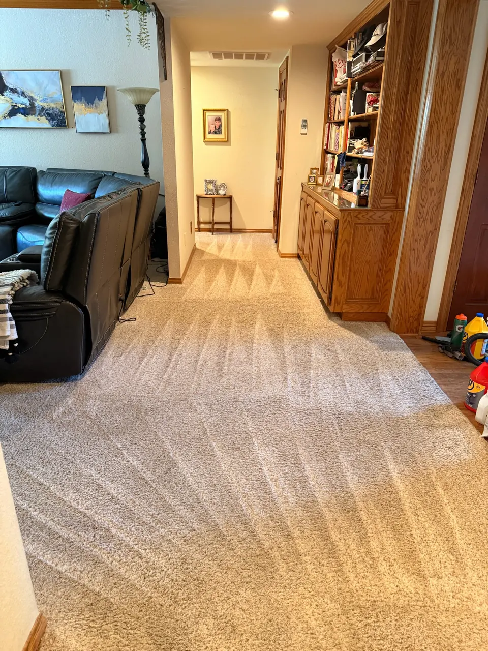Cleaned beige carpet from the living room into a hallway