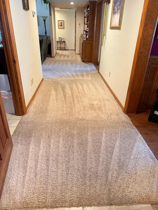 Cleaned carpet along a hallway