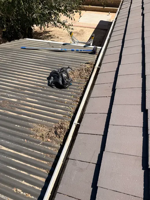 Leaves and debris cleared from a gutter and bagged on a patio cover