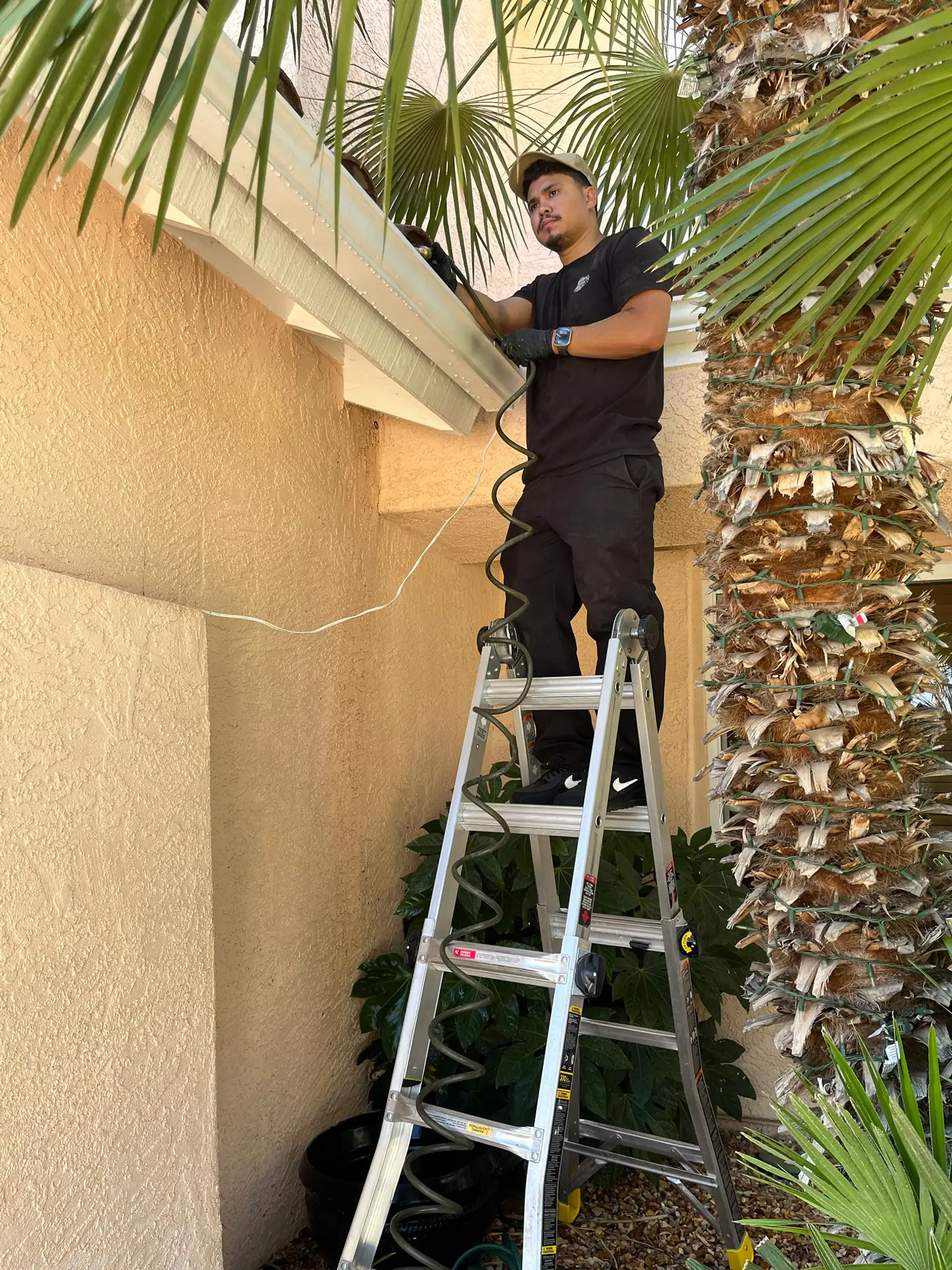 Team member on a ladder flushing a gutter with a hose beside a palm tree