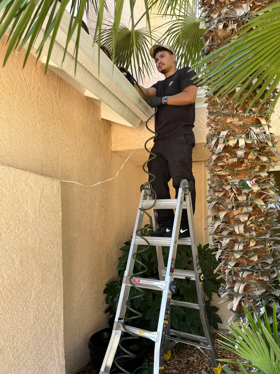 Team member on a ladder flushing a gutter with a hose beside a palm tree