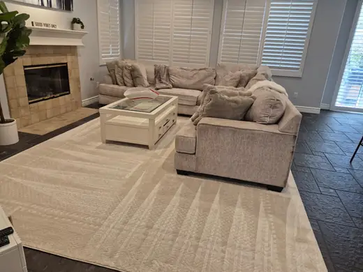 Cleaned area rug in a living room
